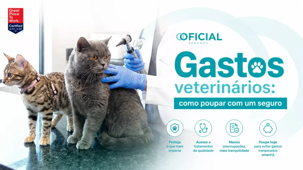 Gastos veterinários - como poupar com um seguro