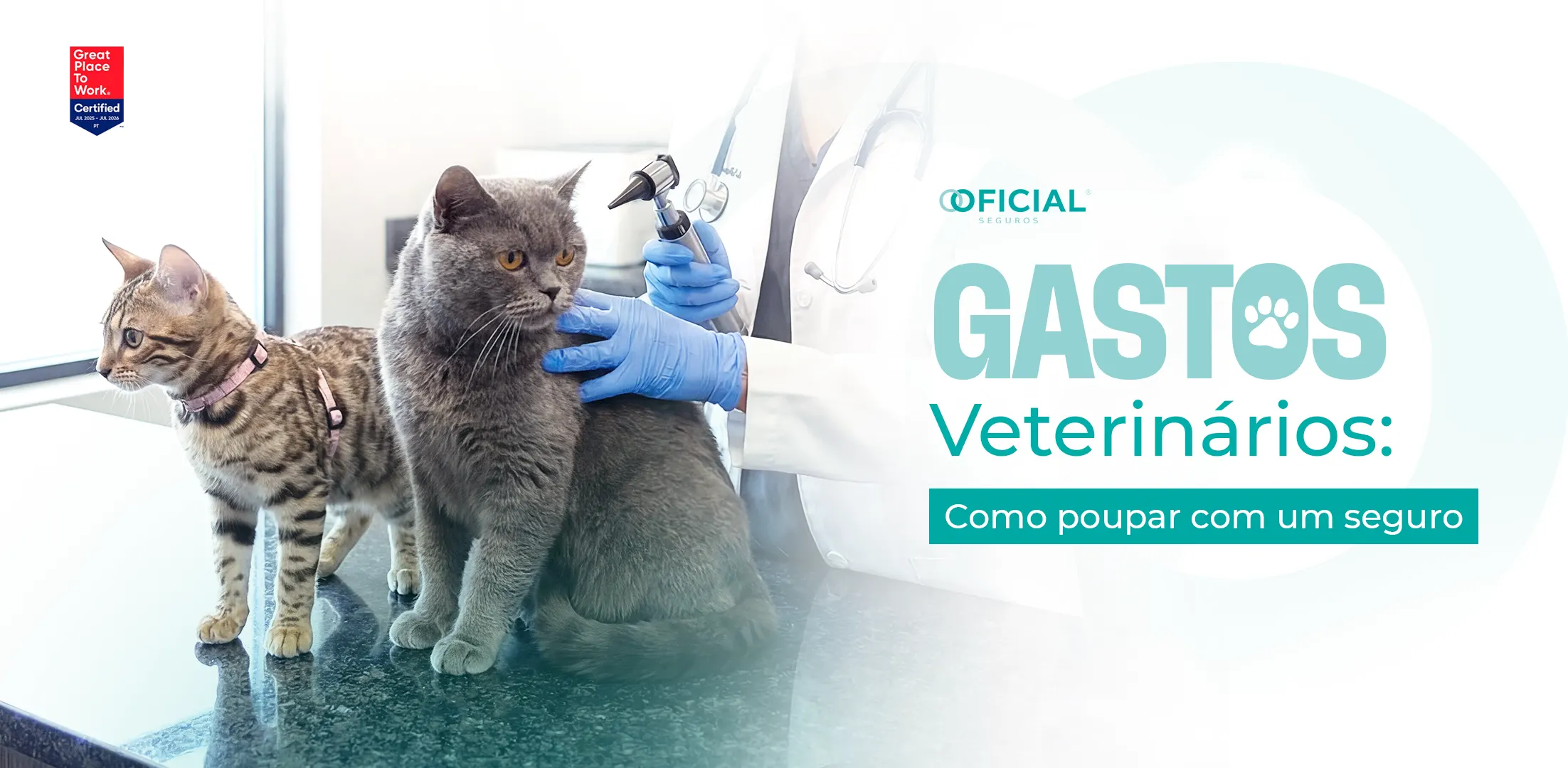 Gastos veterinários como poupar com um seguro
