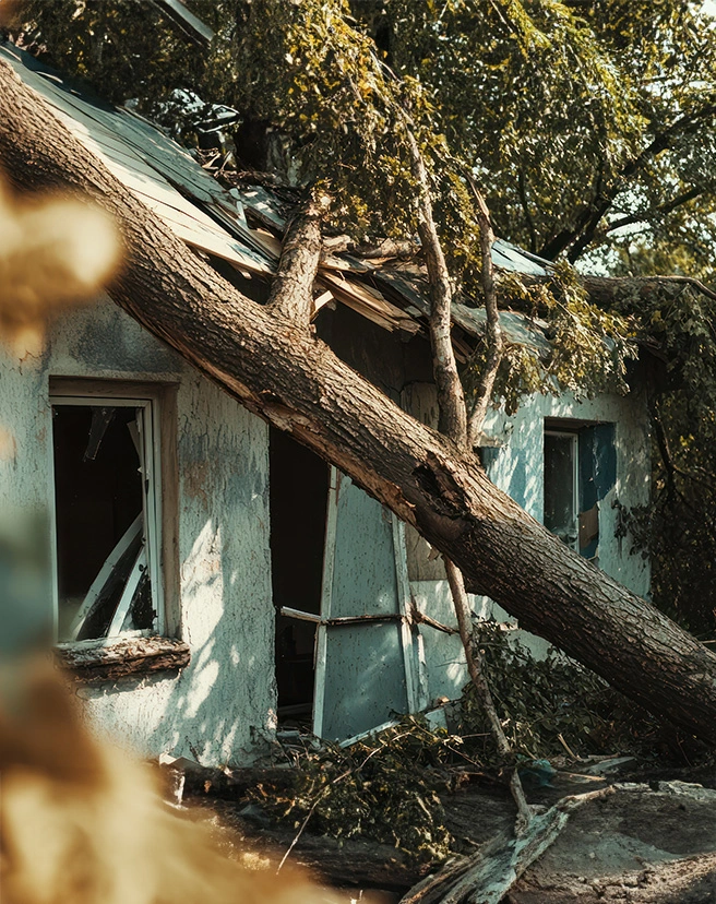 Seguro Multirriscos - Oficial Seguros