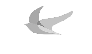 Abarca Seguros