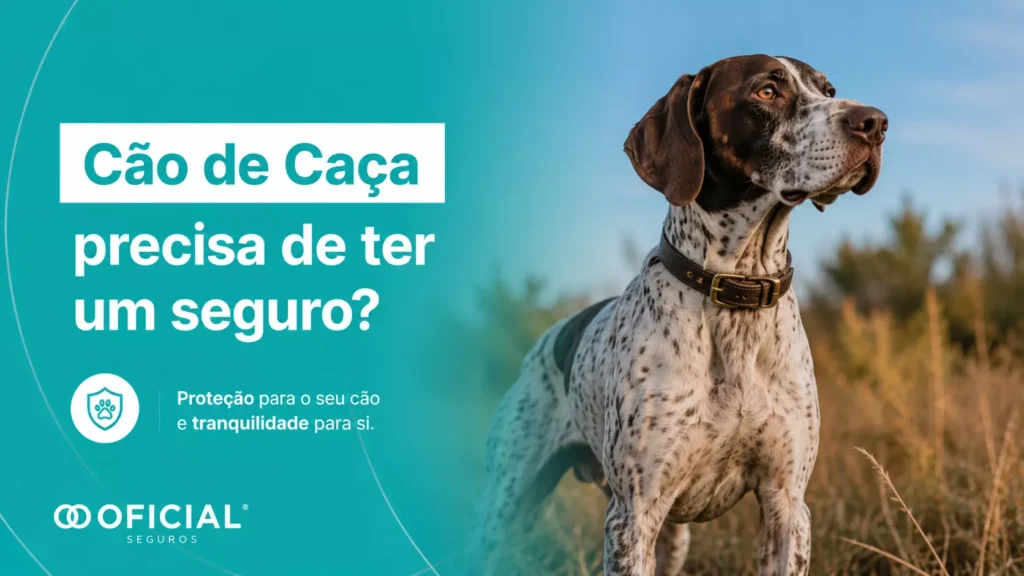 Cão de Caça precisa de ter um seguro