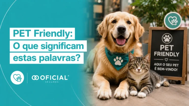 PET Friendly - O que significam estas palavras