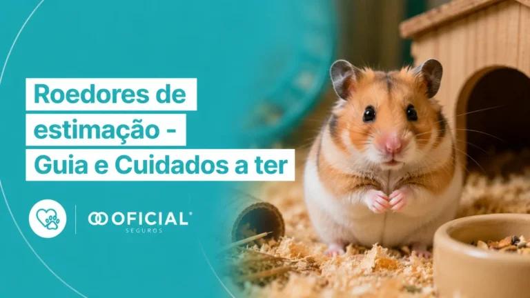Roedores de estimação - Guia e Cuidados a ter