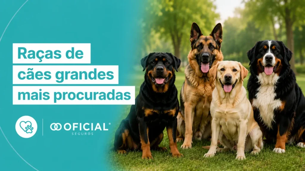 Raças de cães grandes mais procuradas