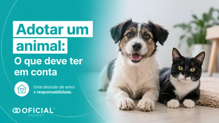 Adotar um animal - O que deve ter em conta