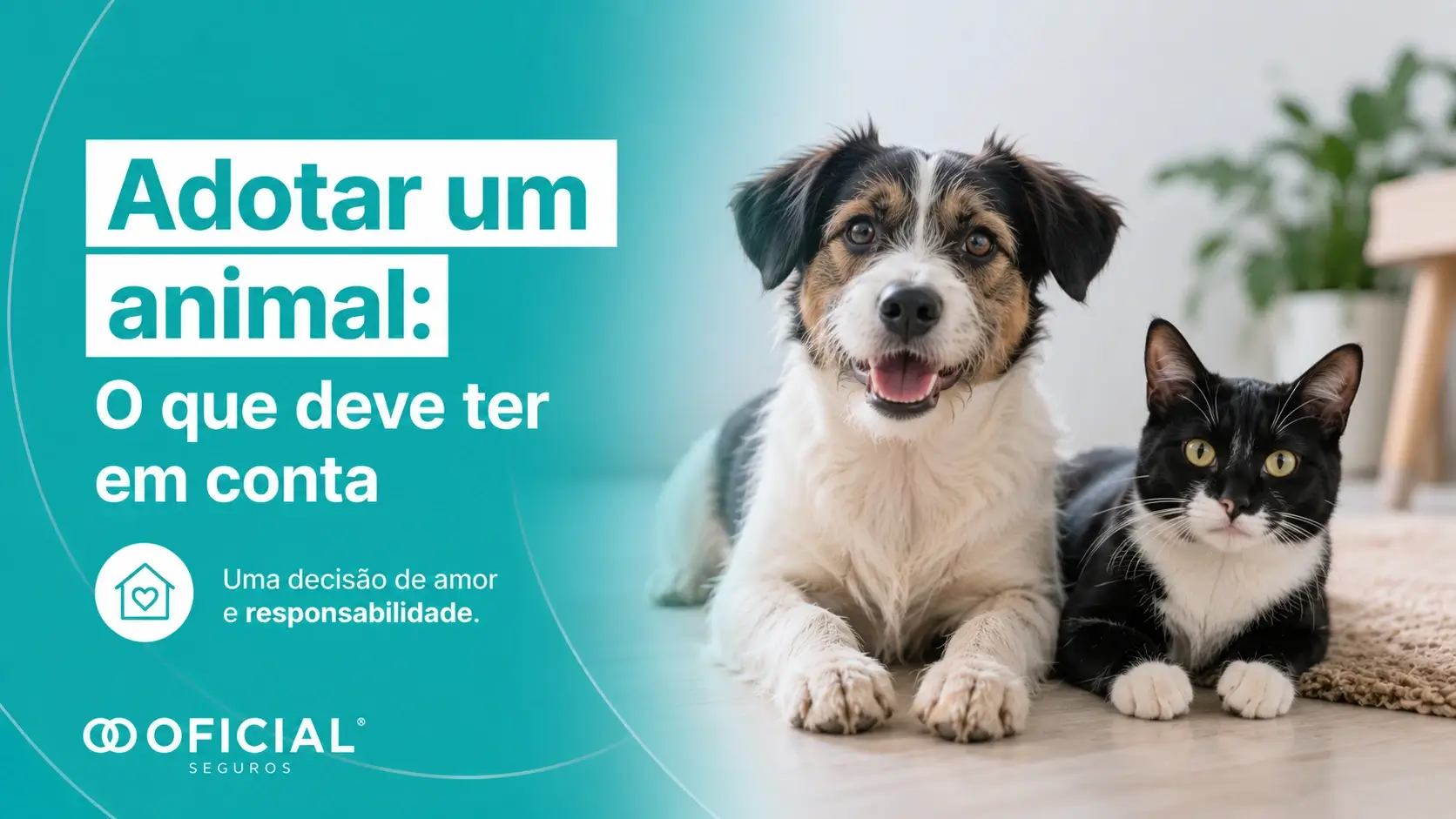 Adotar um animal - O que deve ter em conta